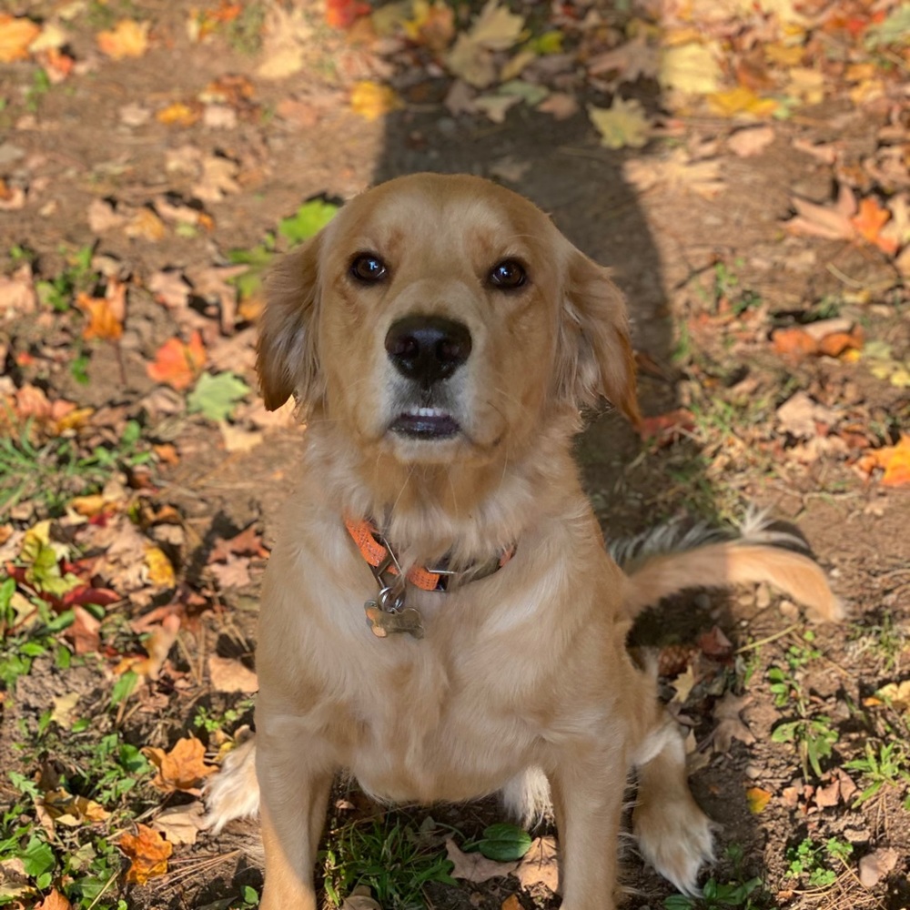 Meet your Posher, Hannah